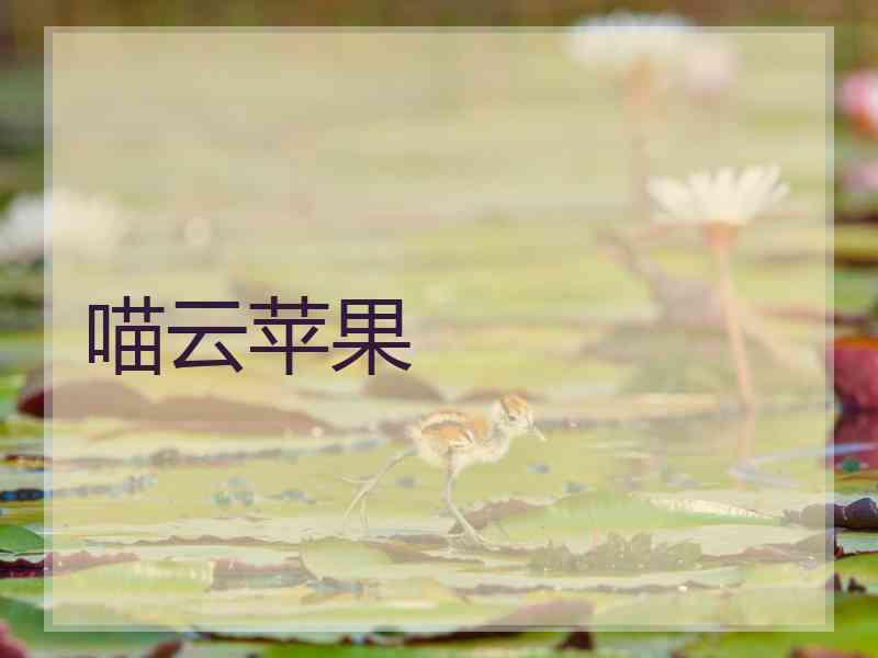 喵云苹果