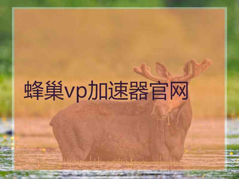 蜂巢vp加速器官网