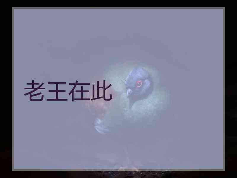 老王在此