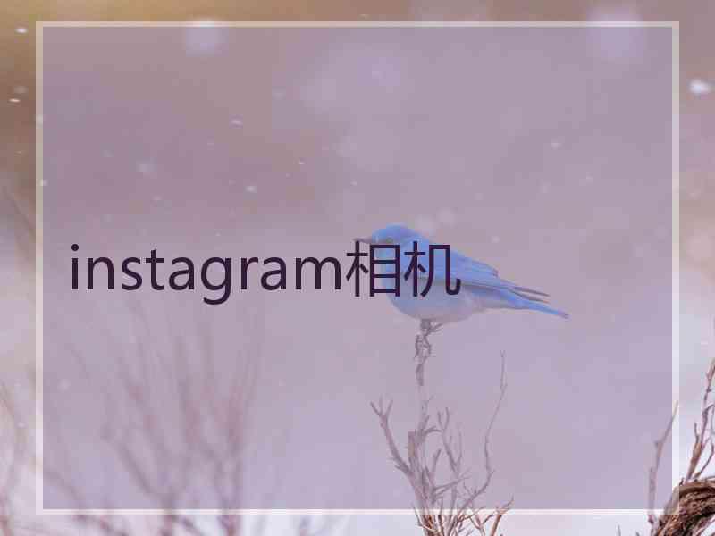 instagram相机
