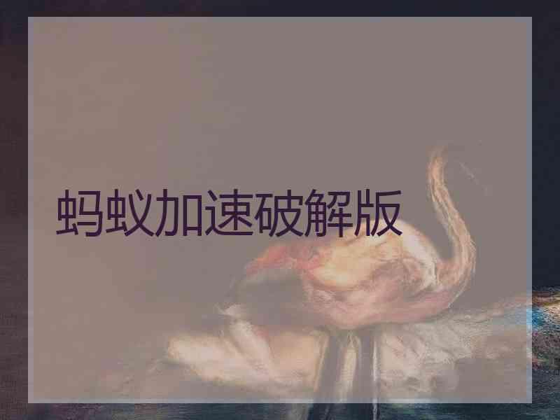 蚂蚁加速破解版