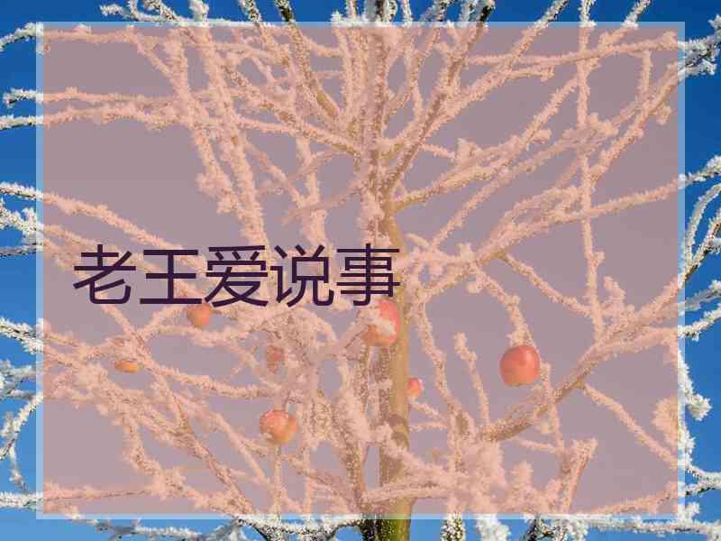 老王爱说事