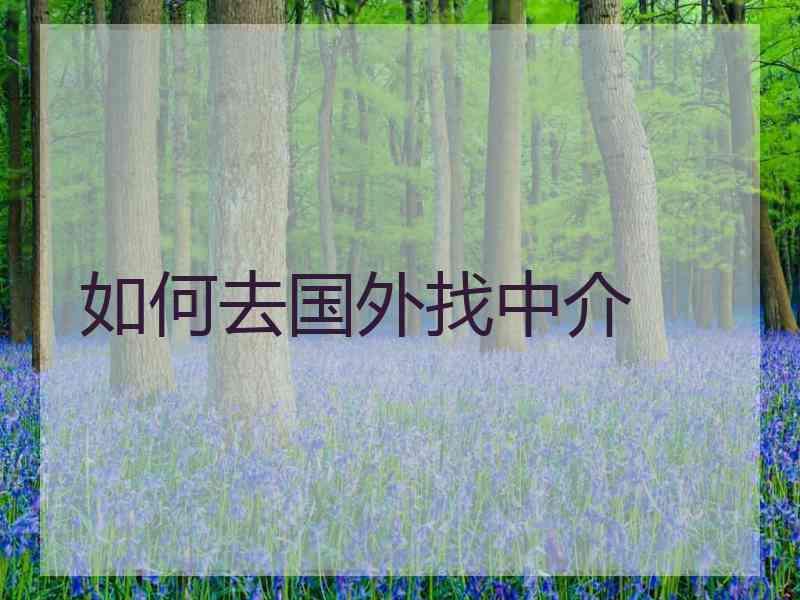 如何去国外找中介