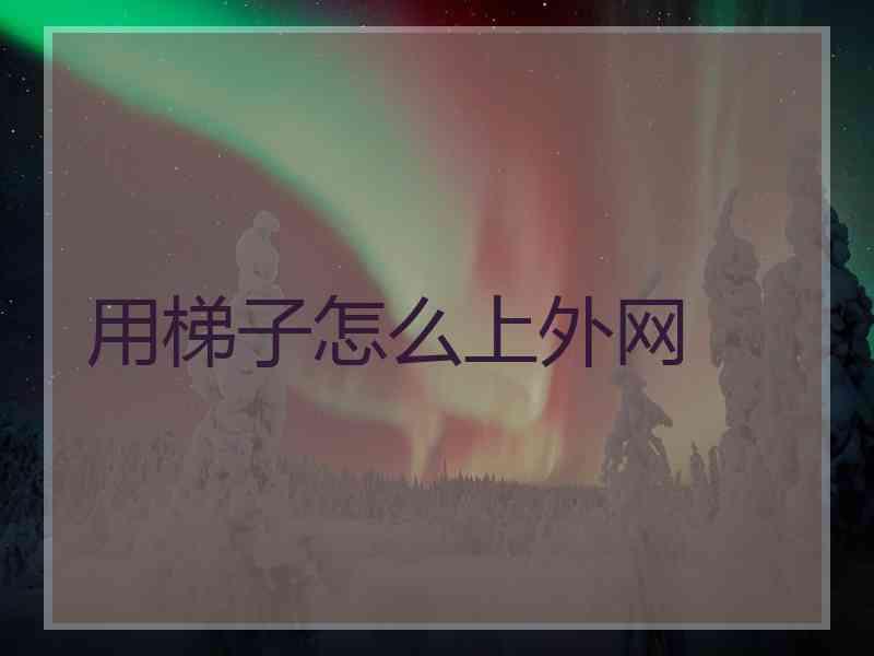 用梯子怎么上外网