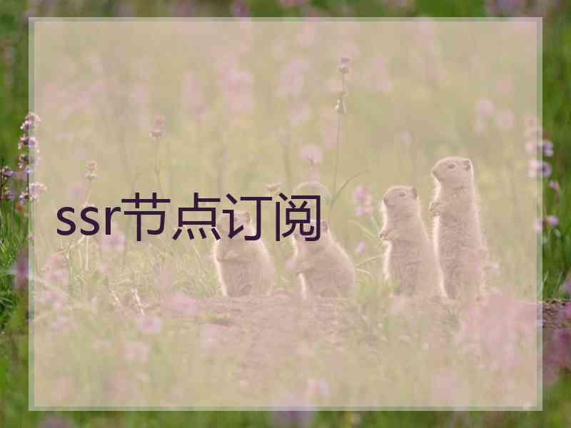 ssr节点订阅