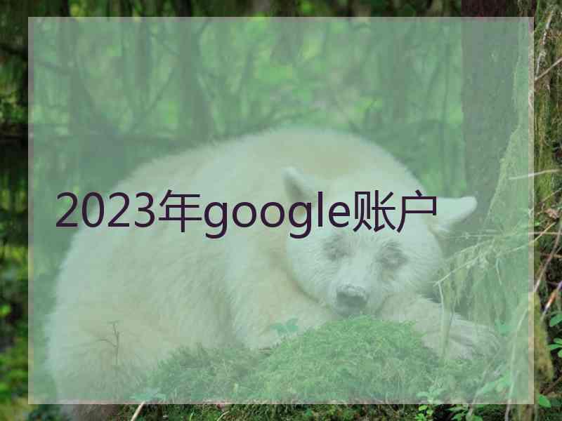 2023年google账户