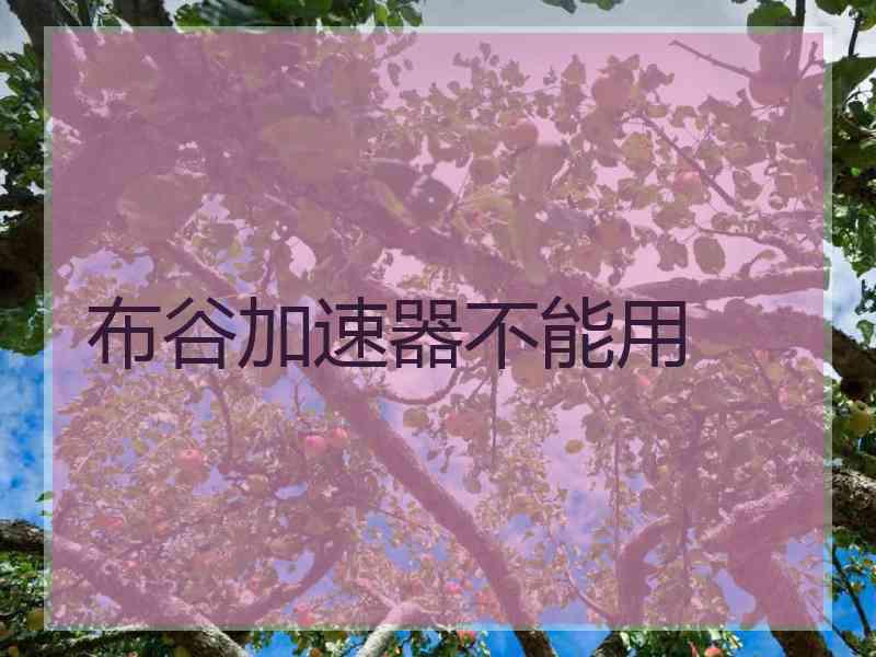 布谷加速器不能用