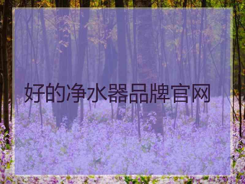 好的净水器品牌官网