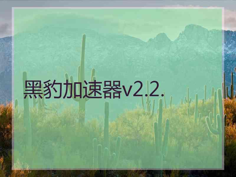 黑豹加速器v2.2.