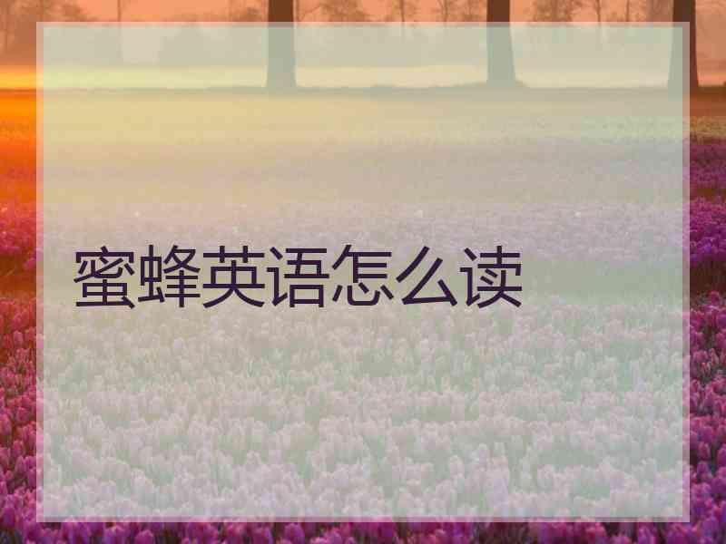 蜜蜂英语怎么读