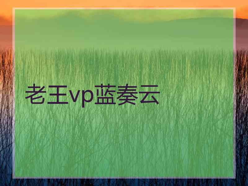 老王vp蓝奏云