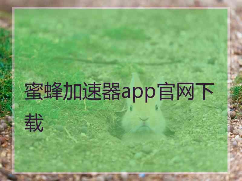 蜜蜂加速器app官网下载