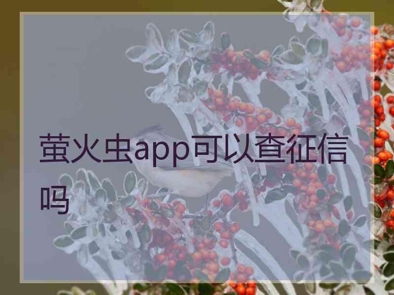 萤火虫app可以查征信吗