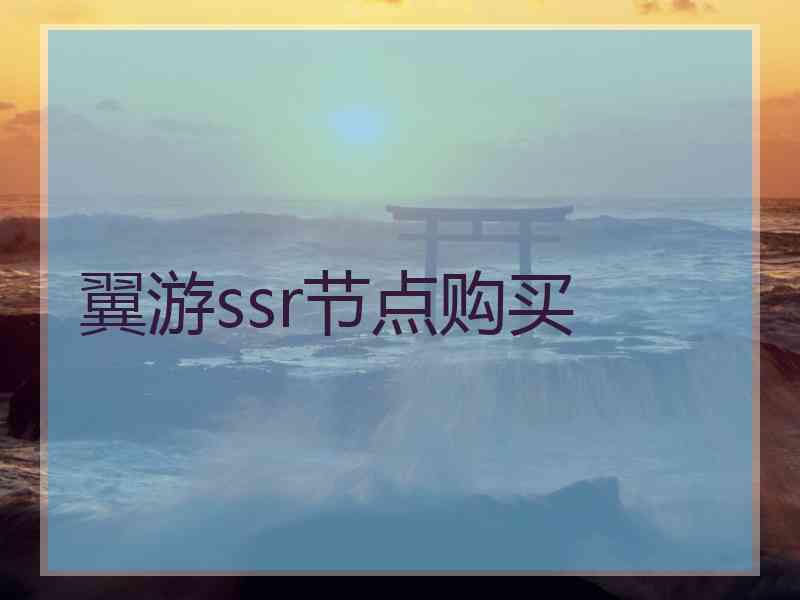翼游ssr节点购买