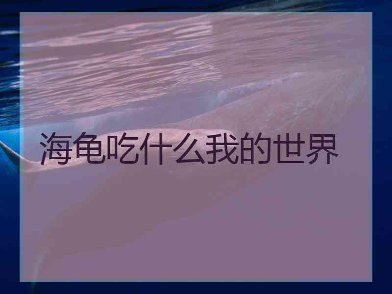 海龟吃什么我的世界