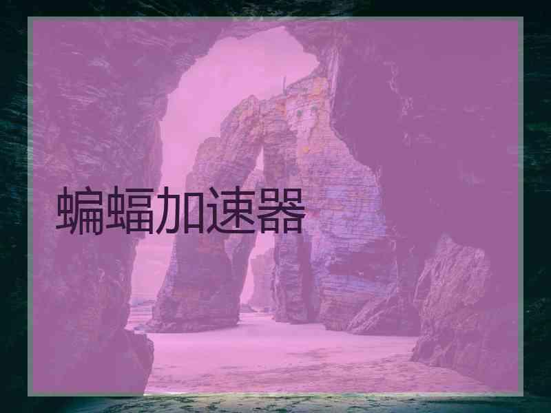 蝙蝠加速器