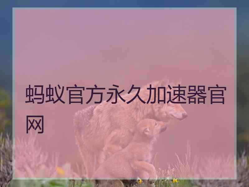 蚂蚁官方永久加速器官网