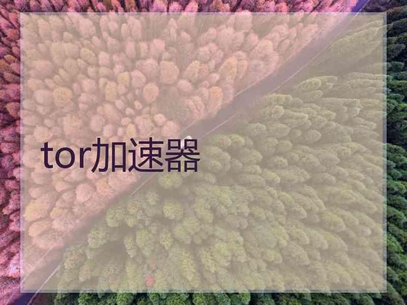 tor加速器
