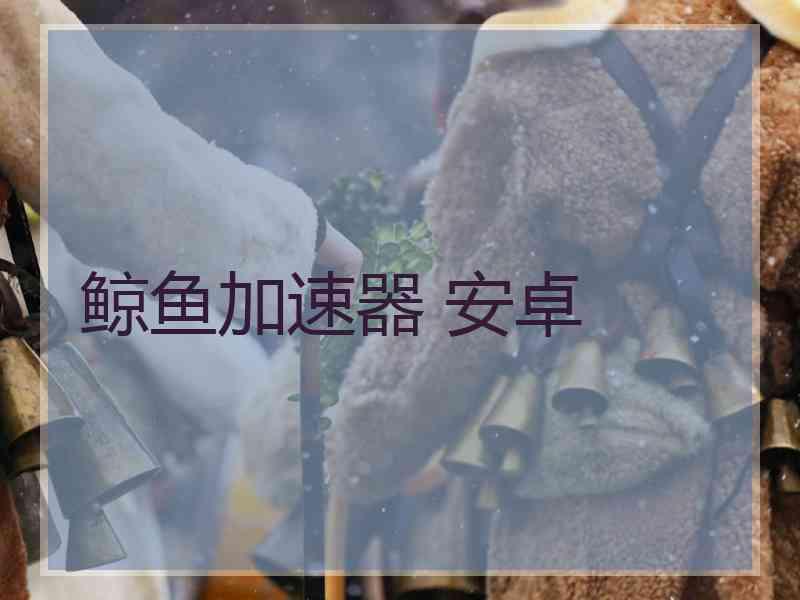 鲸鱼加速器 安卓