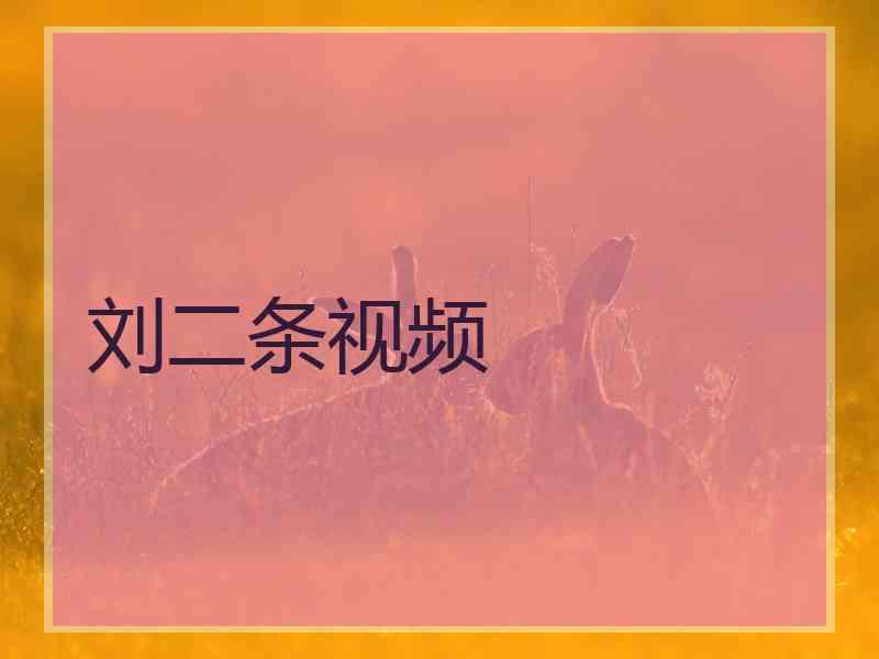 刘二条视频