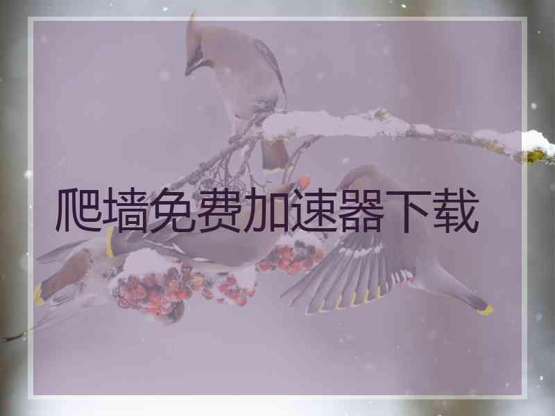 爬墙免费加速器下载