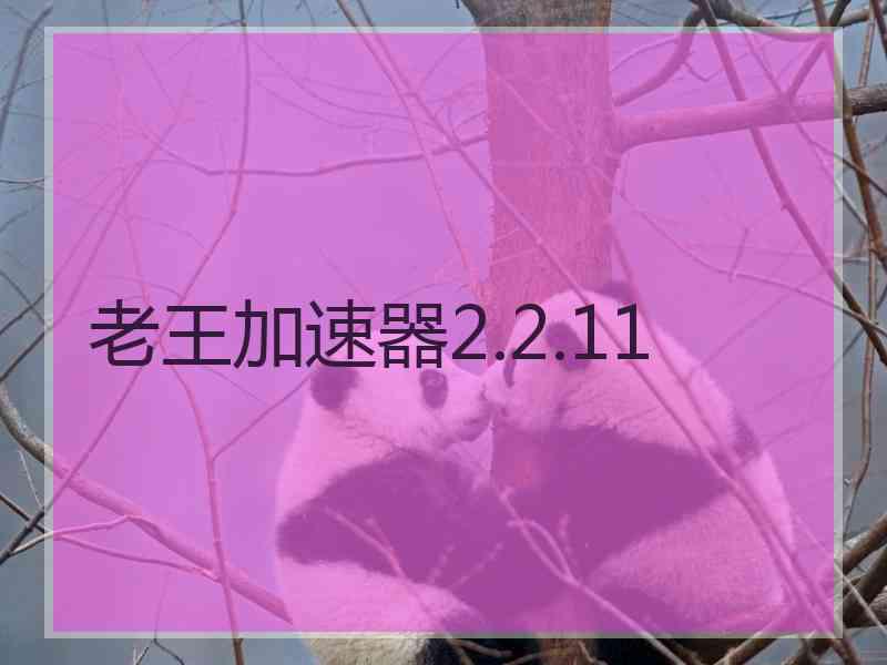 老王加速器2.2.11