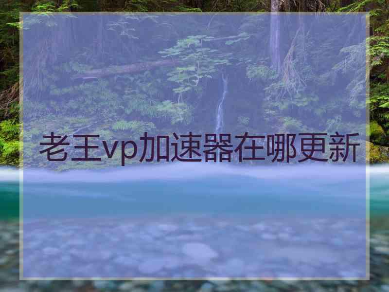 老王vp加速器在哪更新