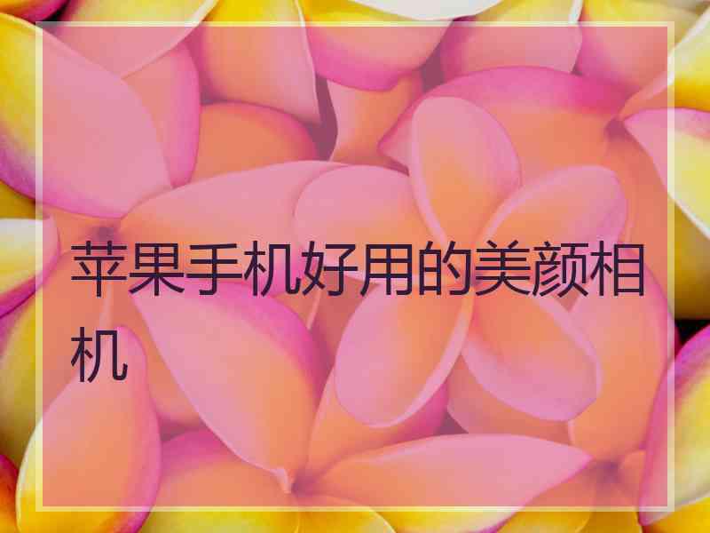 苹果手机好用的美颜相机