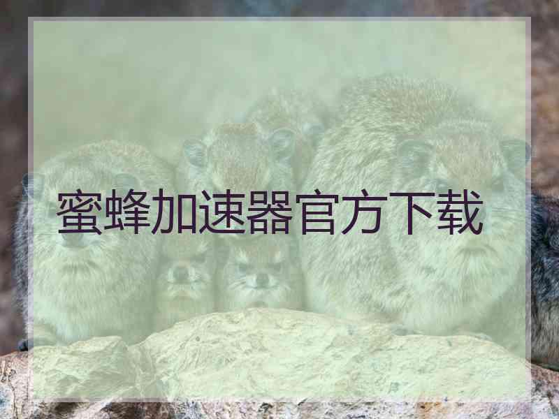 蜜蜂加速器官方下载