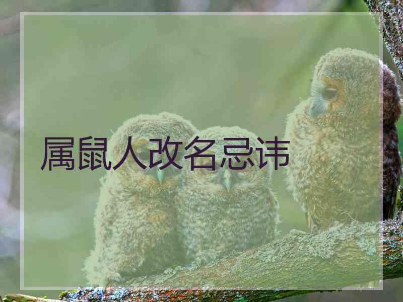 属鼠人改名忌讳