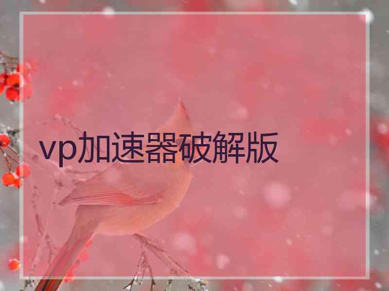vp加速器破解版