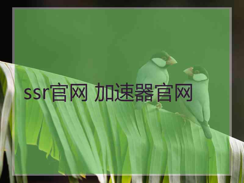 ssr官网 加速器官网