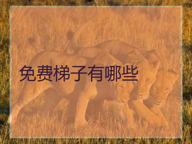 免费梯子有哪些
