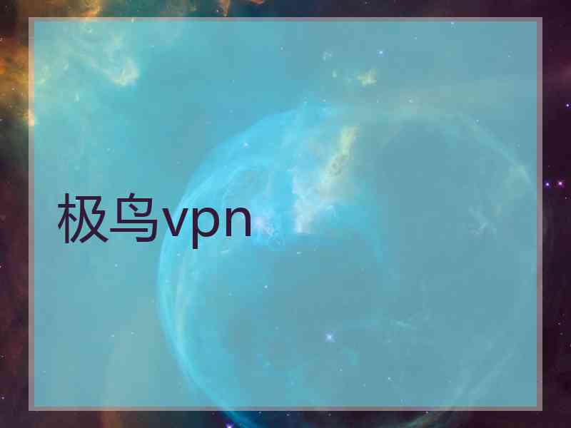 极鸟vpn