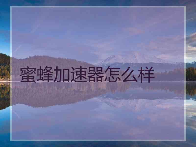 蜜蜂加速器怎么样