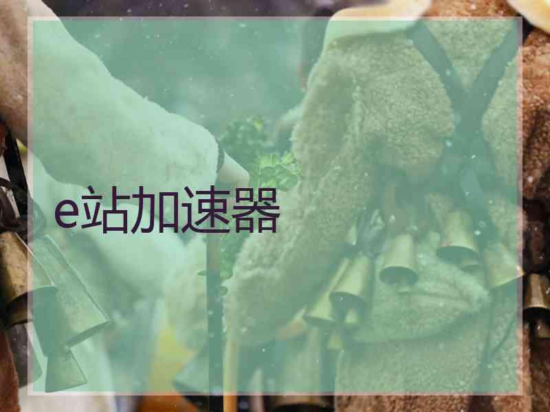 e站加速器