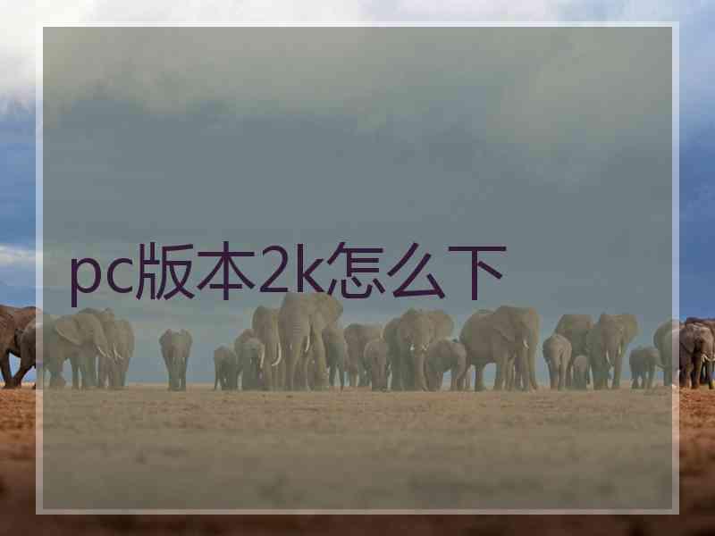 pc版本2k怎么下