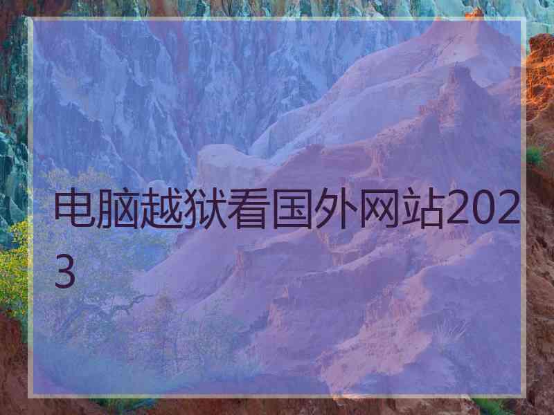 电脑越狱看国外网站2023