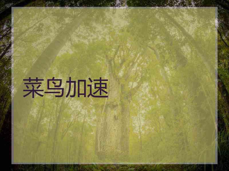 菜鸟加速
