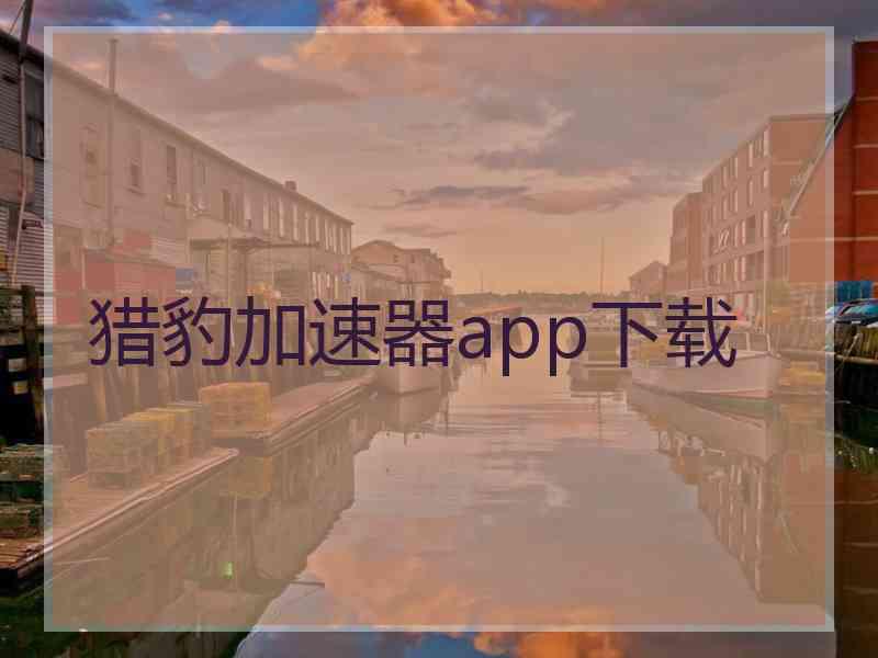 猎豹加速器app下载