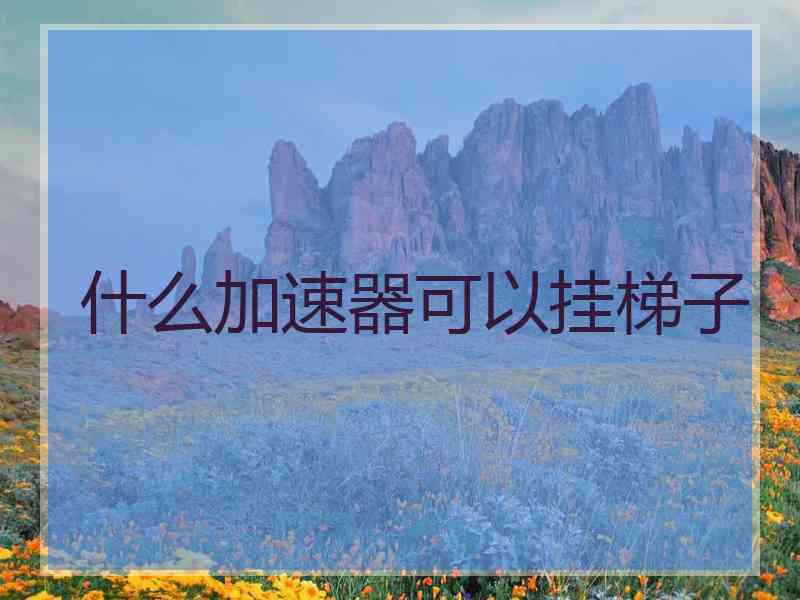 什么加速器可以挂梯子