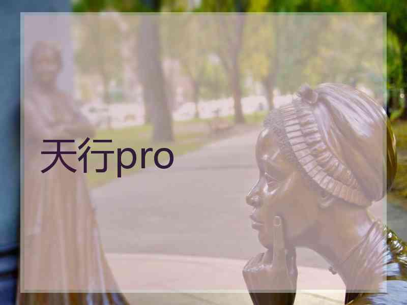 天行pro