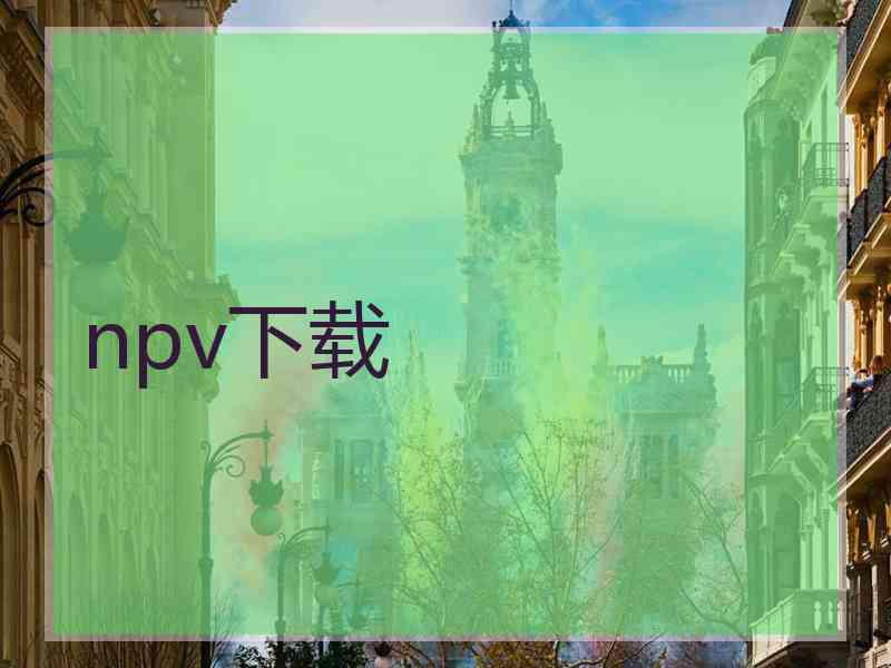 npv下载