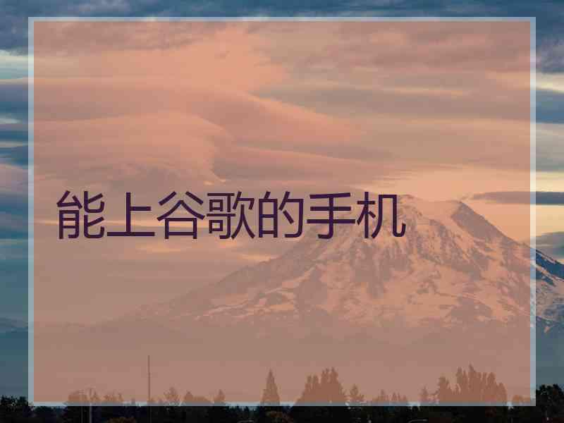 能上谷歌的手机