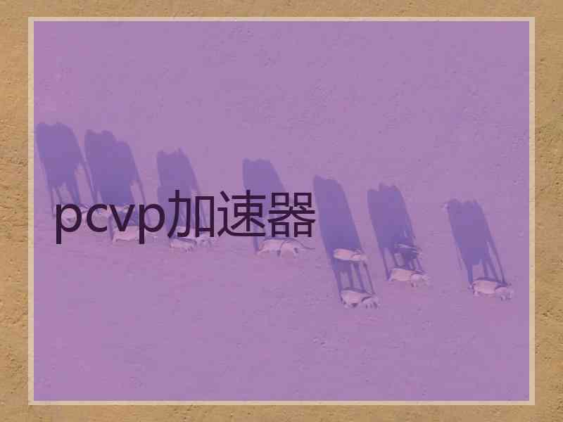 pcvp加速器