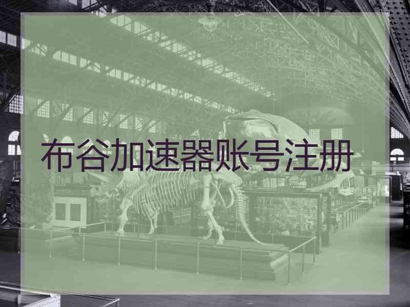 布谷加速器账号注册