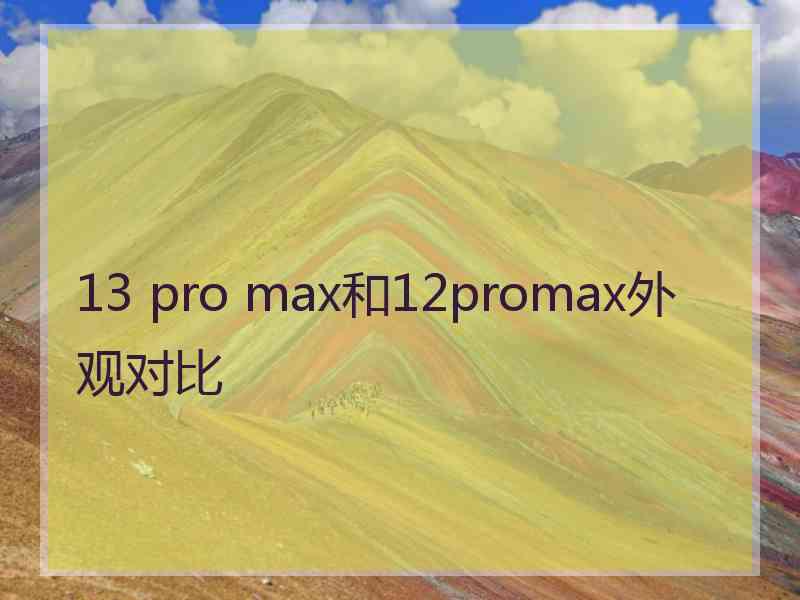 13 pro max和12promax外观对比