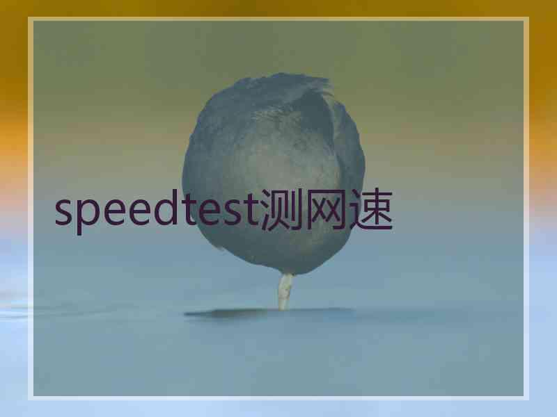 speedtest测网速