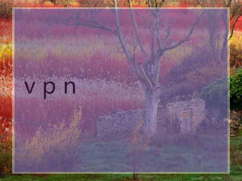 v p n