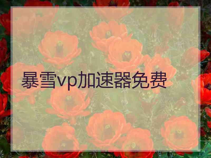 暴雪vp加速器免费